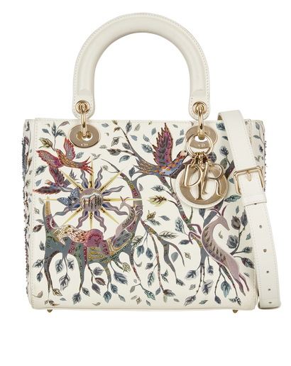 Medium Lady Dior Earth Embroidery, front view